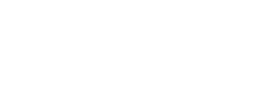 CAMEX