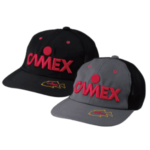 CAMEX-CAP3