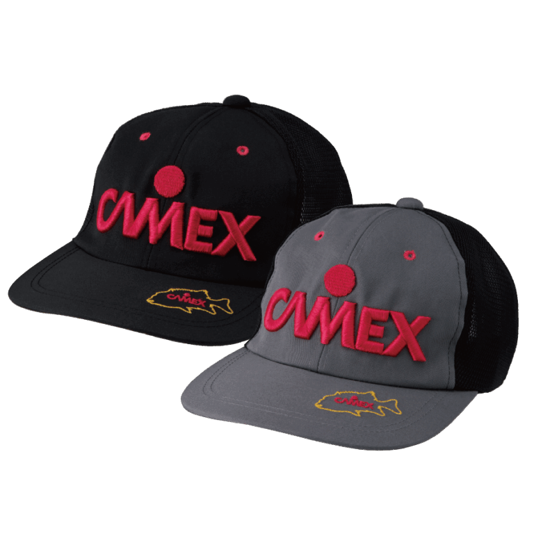 CAMEX-CAP3