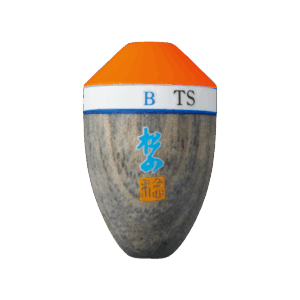 SYOZAN-TS