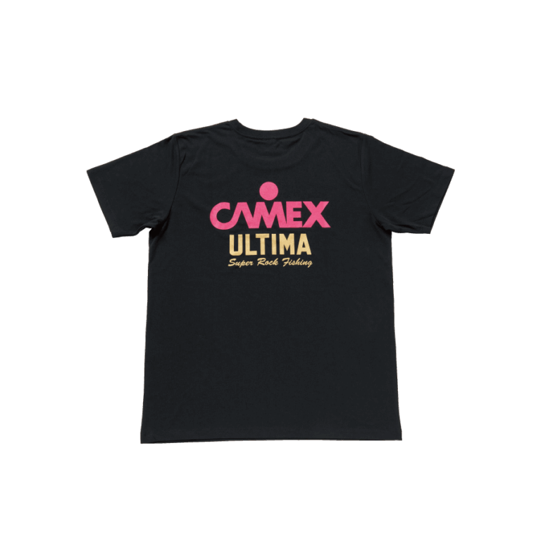 camex-t