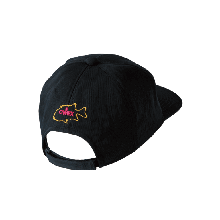 camexcap2