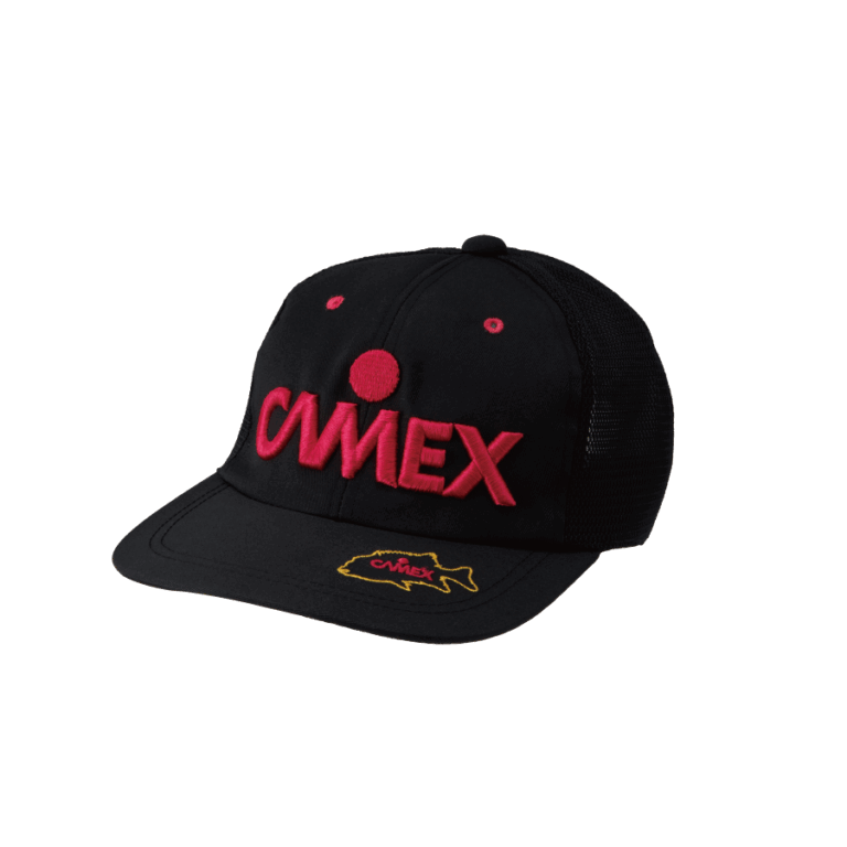 CAMEX-CAP3