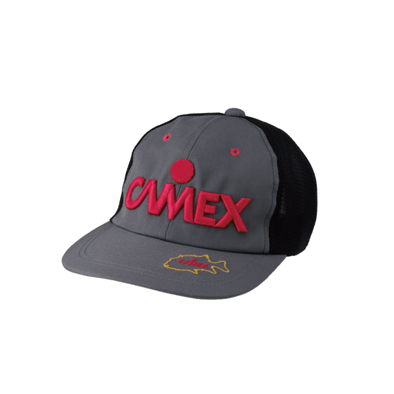 CAMEX-CAP3