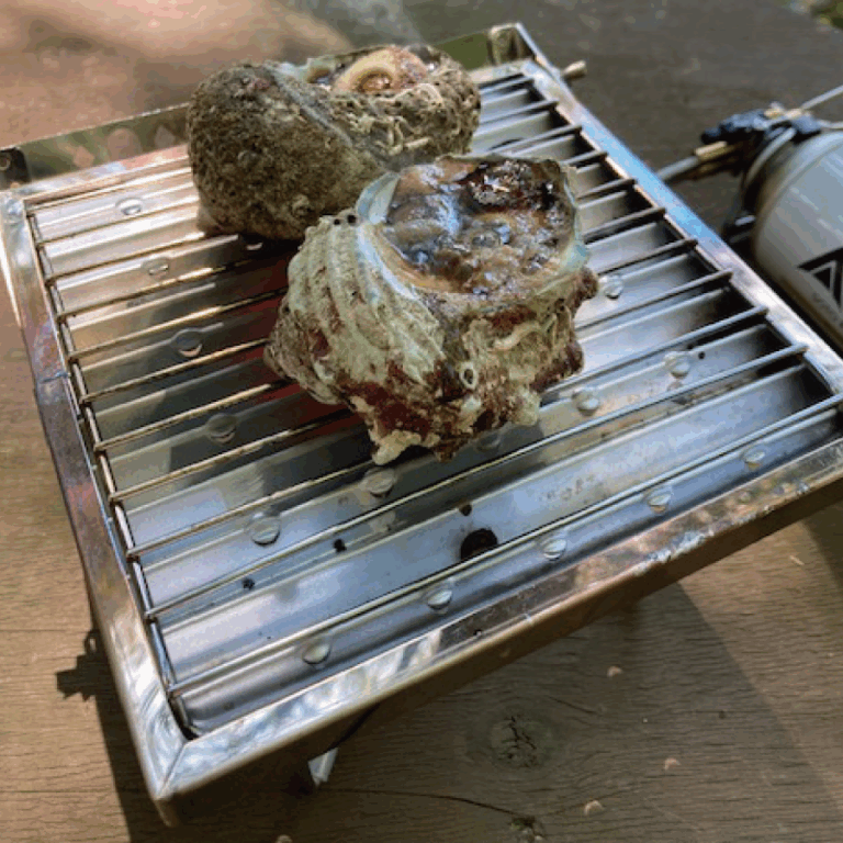 solo-robata