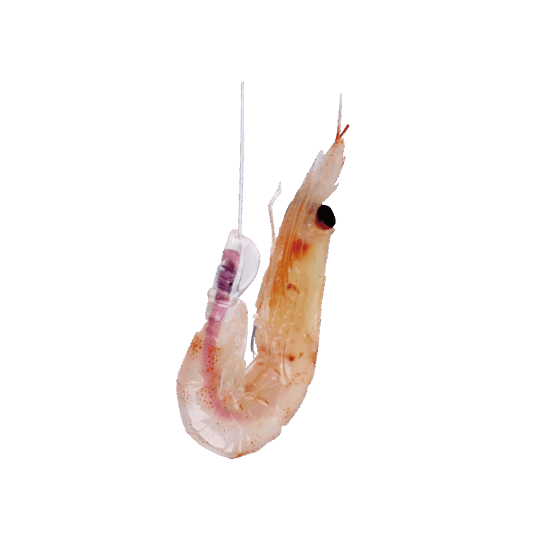 040