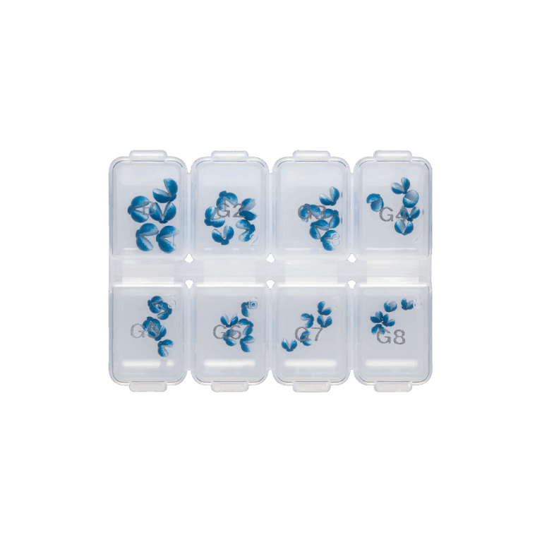rakumie-set