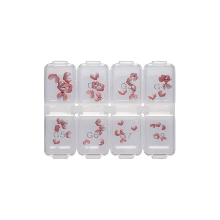 rakumie-set