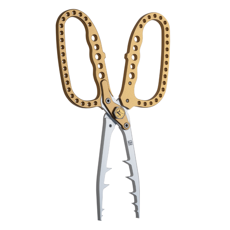 ゴールドシルバー