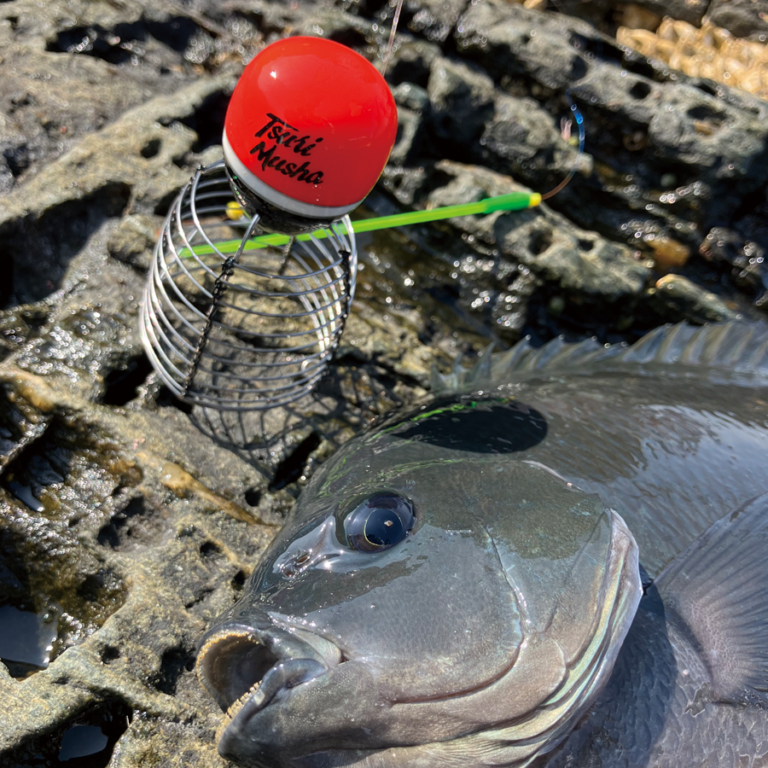 フカセ飛びカゴ urala-chibi