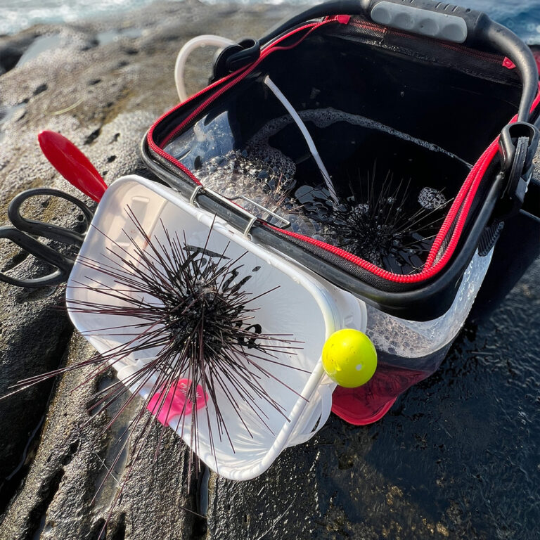 multi-bucket